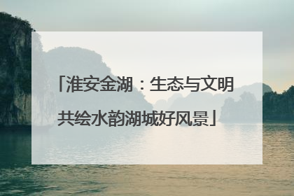 淮安金湖：生态与文明共绘水韵湖城好风景
