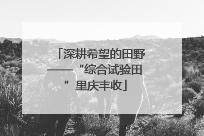 深耕希望的田野——“综合试验田”里庆丰收