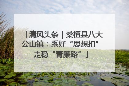 清风头条｜桑植县八大公山镇：系好“思想扣” 走稳“青廉路”