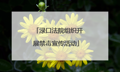 渌口法院组织开展禁毒宣传活动