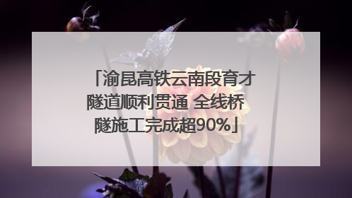 渝昆高铁云南段育才隧道顺利贯通 全线桥隧施工完成超90%