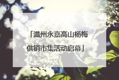 温州永嘉高山杨梅供销市集活动启幕
