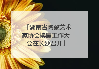 湖南省陶瓷艺术家协会换届工作大会在长沙召开