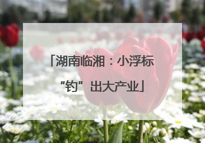 湖南临湘：小浮标“钓”出大产业