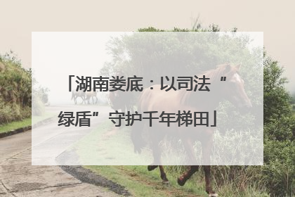 湖南娄底：以司法“绿盾”守护千年梯田