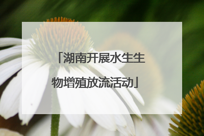 湖南开展水生生物增殖放流活动