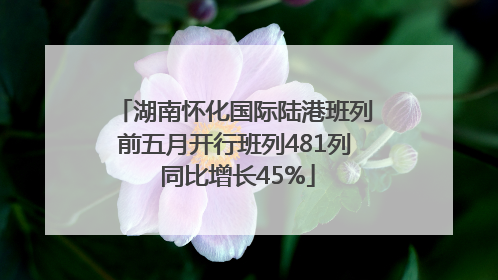 湖南怀化国际陆港班列前五月开行班列481列 同比增长45%