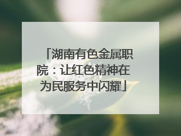 湖南有色金属职院：让红色精神在为民服务中闪耀