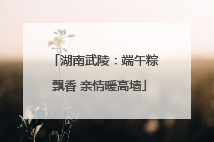 湖南武陵：端午粽飘香 亲情暖高墙