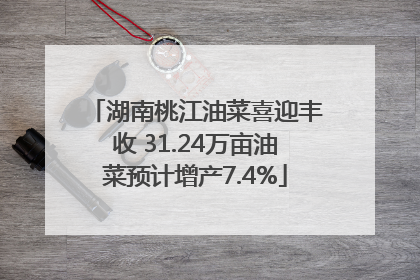 湖南桃江油菜喜迎丰收 31.24万亩油菜预计增产7.4%