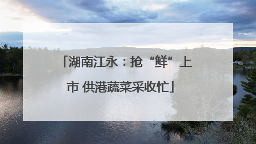 湖南江永：抢“鲜”上市 供港蔬菜采收忙