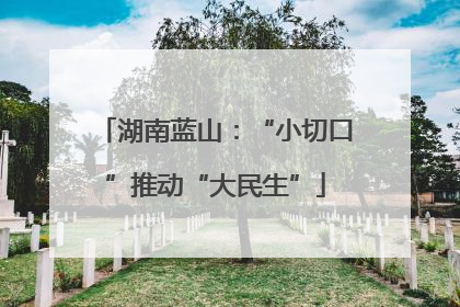湖南蓝山：“小切口”推动“大民生”
