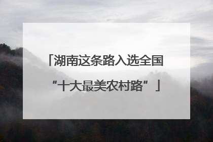 湖南这条路入选全国“十大最美农村路”