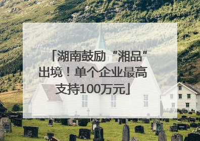 湖南鼓励“湘品”出境！单个企业最高支持100万元