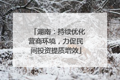 湖南：持续优化营商环境，力促民间投资提质增效