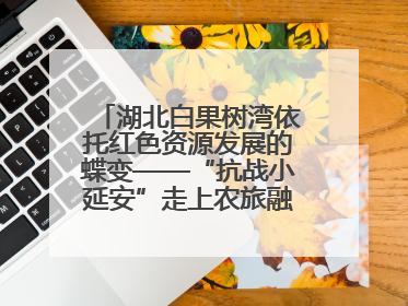 湖北白果树湾依托红色资源发展的蝶变——“抗战小延安”走上农旅融合振兴路
