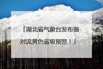 湖北省气象台发布强对流黄色省级预警！