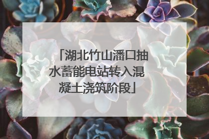 湖北竹山潘口抽水蓄能电站转入混凝土浇筑阶段