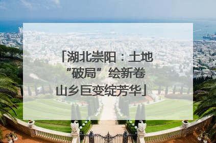 湖北崇阳：土地“破局”绘新卷 山乡巨变绽芳华