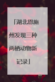 湖北恩施州发现三种两栖动物新记录