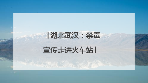 湖北武汉：禁毒宣传走进火车站