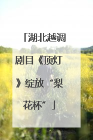 湖北越调剧目《顶灯》绽放“梨花杯”
