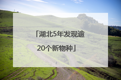 湖北5年发现逾20个新物种