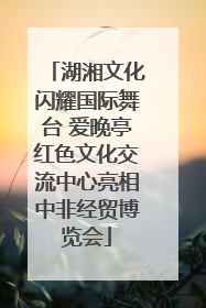 湖湘文化闪耀国际舞台 爱晚亭红色文化交流中心亮相中非经贸博览会