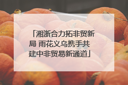 湘浙合力拓非贸新局 雨花义乌携手共建中非贸易新通道