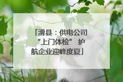 滑县：供电公司“上门体检” 护航企业迎峰度夏