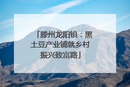 滕州龙阳镇：黑土豆产业铺就乡村振兴致富路