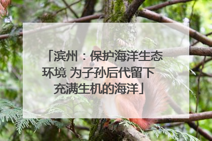 滨州：保护海洋生态环境 为子孙后代留下充满生机的海洋