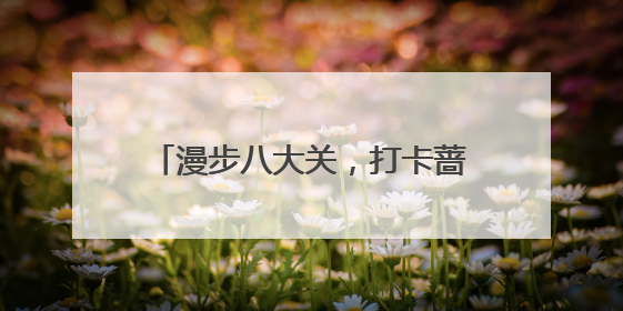 漫步八大关，打卡蔷薇花，邂逅浪漫风景