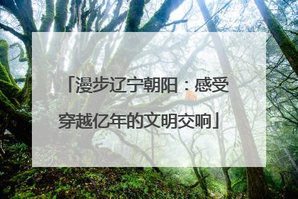漫步辽宁朝阳：感受穿越亿年的文明交响