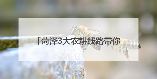 菏泽3大农耕线路带你穿越古今田园诗画！