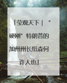 莹观天下｜“硬刚”特朗普的加州州长纽森何许人也