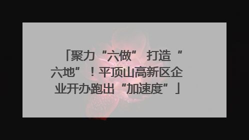 聚力“六做” 打造“六地”！平顶山高新区企业开办跑出“加速度”