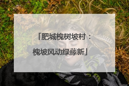 肥城槐树坡村：槐坡风动绿藤新