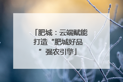 肥城：云端赋能 打造“肥城好品”强农引擎