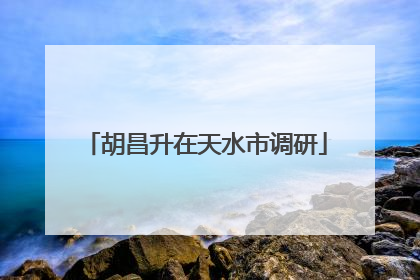 胡昌升在天水市调研