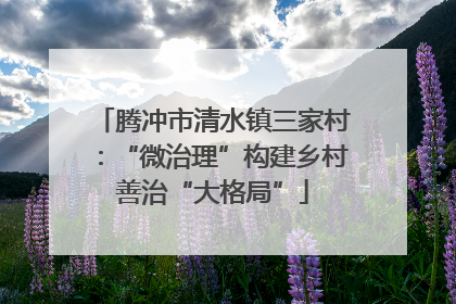 腾冲市清水镇三家村：“微治理”构建乡村善治“大格局”