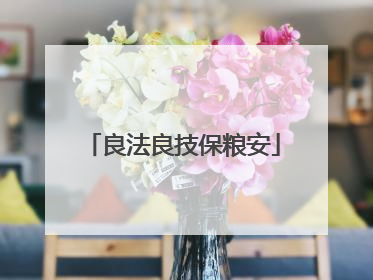 良法良技保粮安