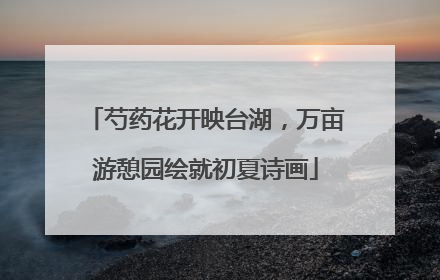 芍药花开映台湖，万亩游憩园绘就初夏诗画