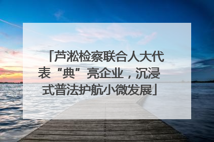 芦淞检察联合人大代表“典”亮企业，沉浸式普法护航小微发展