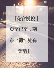 花容悦貌｜夏至已至，南京“荷”处有美韵