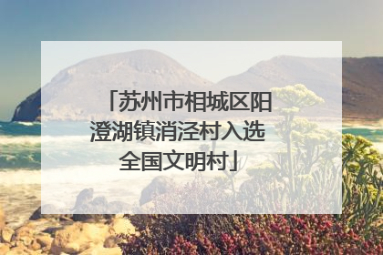 苏州市相城区阳澄湖镇消泾村入选全国文明村