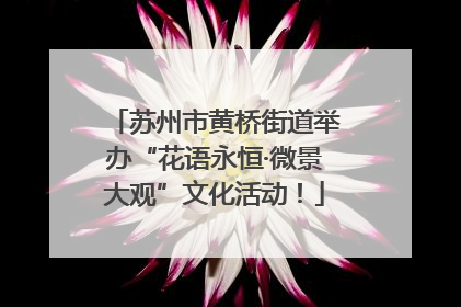 苏州市黄桥街道举办“花语永恒·微景大观”文化活动！
