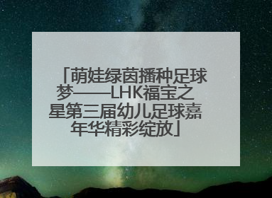 萌娃绿茵播种足球梦——LHK福宝之星第三届幼儿足球嘉年华精彩绽放