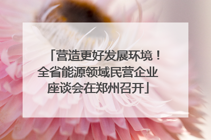 营造更好发展环境！全省能源领域民营企业座谈会在郑州召开