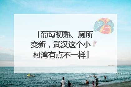 葡萄初熟、厕所变新，武汉这个小村湾有点不一样